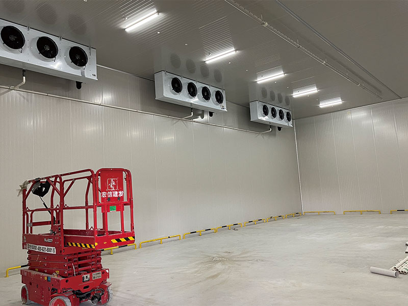 Qingdao Pingdu Carrot Storage