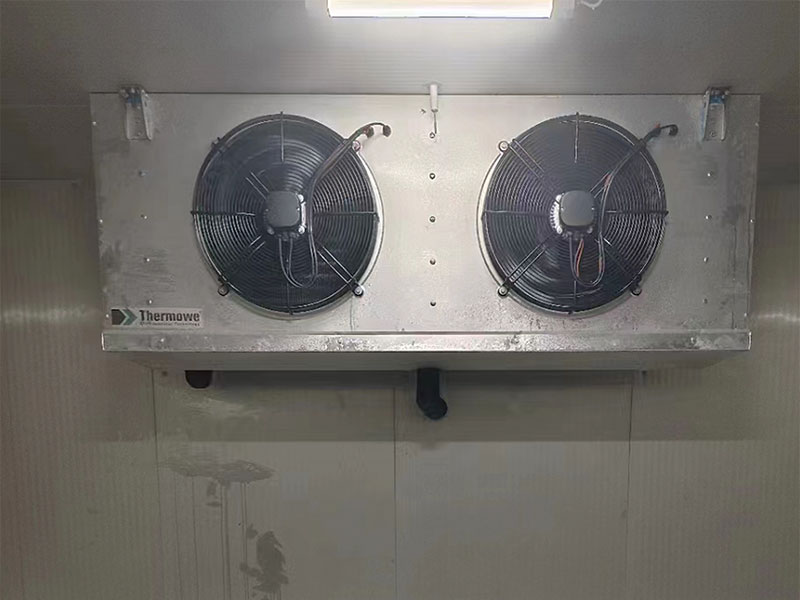 Hunan Food Factory Freezer