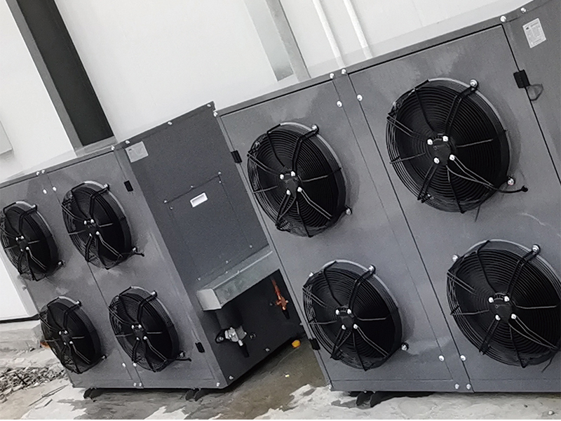 Hubei Qianjiang Taimei Grape Cooperative (grape pre-cooling)